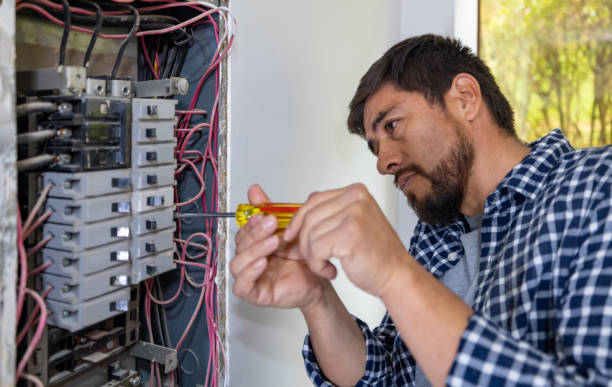 Best Electric Panel Repair  in Neffs, OH